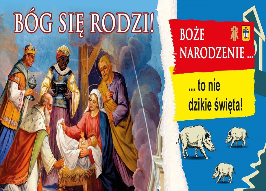 Boże Narodzenie to nie dzikie święta…